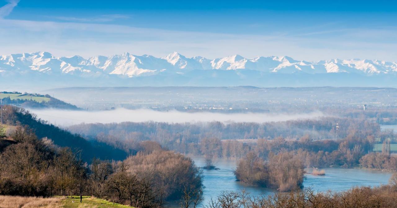 Le Lamartine - T3 Dans Un Parc Frouzins Bagian luar foto